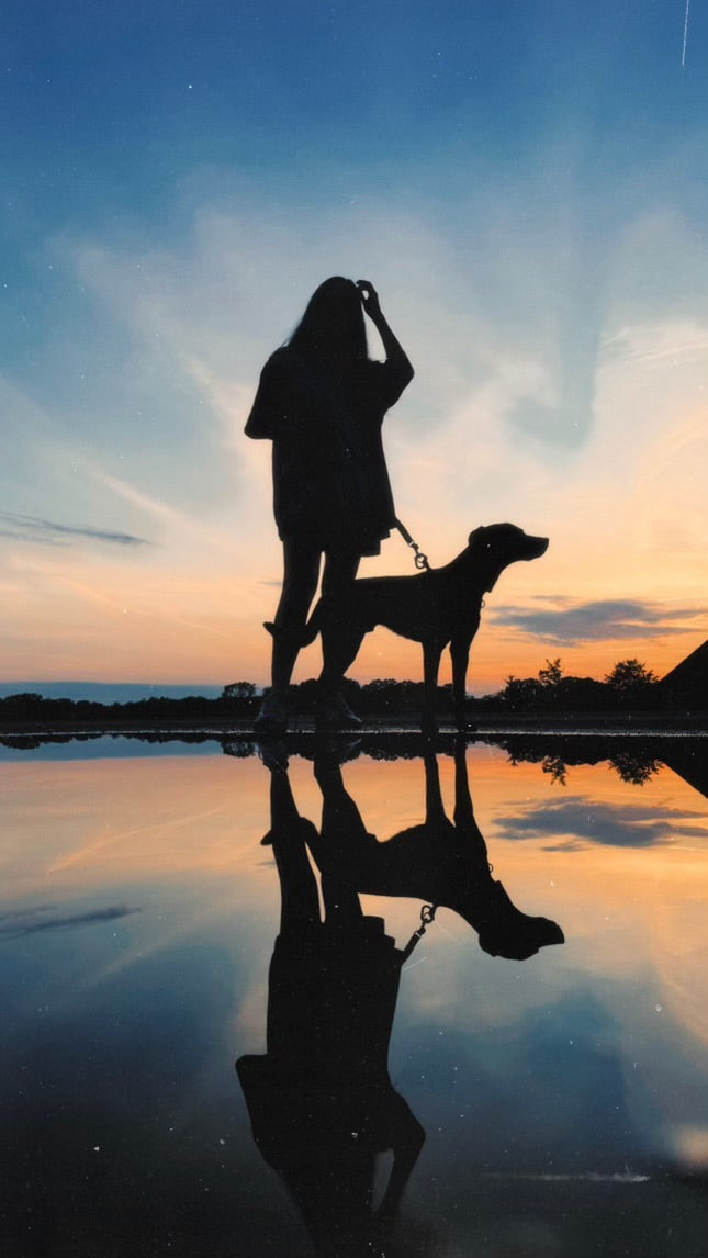 DixPix Creative | Creator