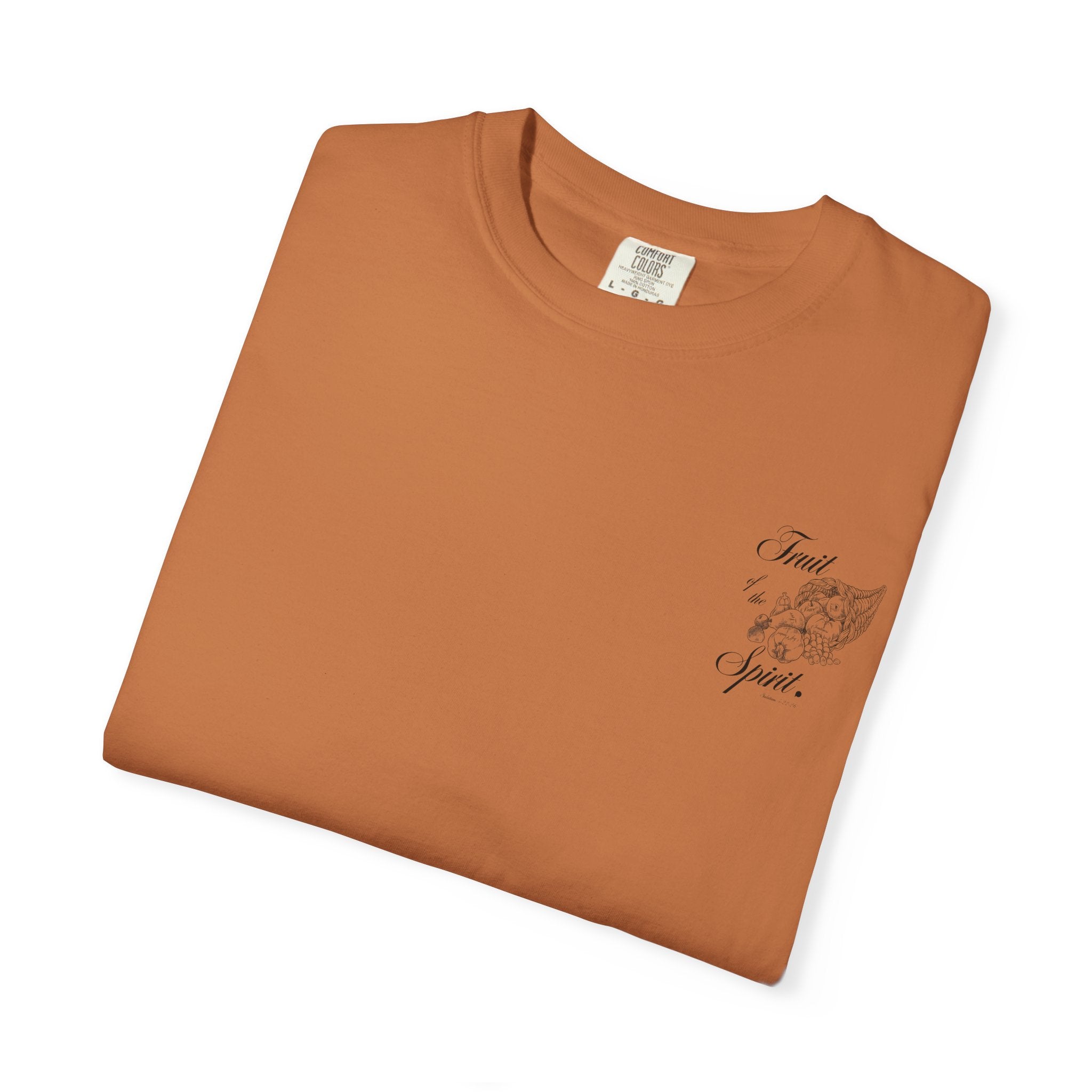 Fruit of the Spirit Tee | PINme Faith Series